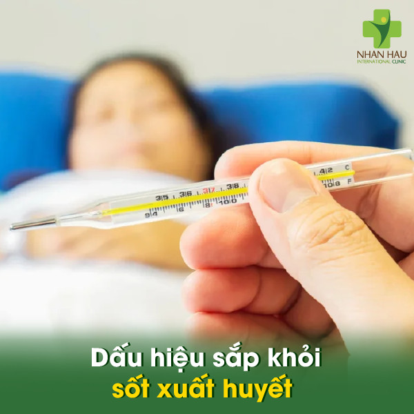 Dấu hiệu sắp khỏi sốt xuất huyết