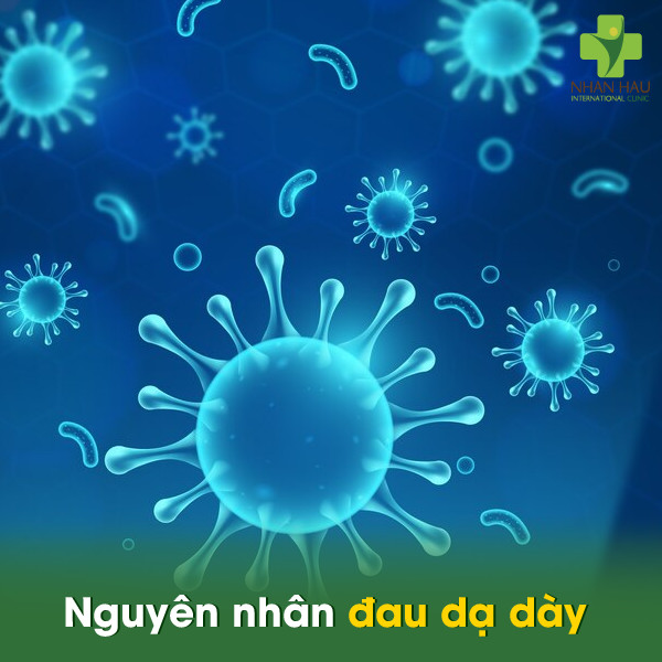 Nguyên nhân đau dạ dày