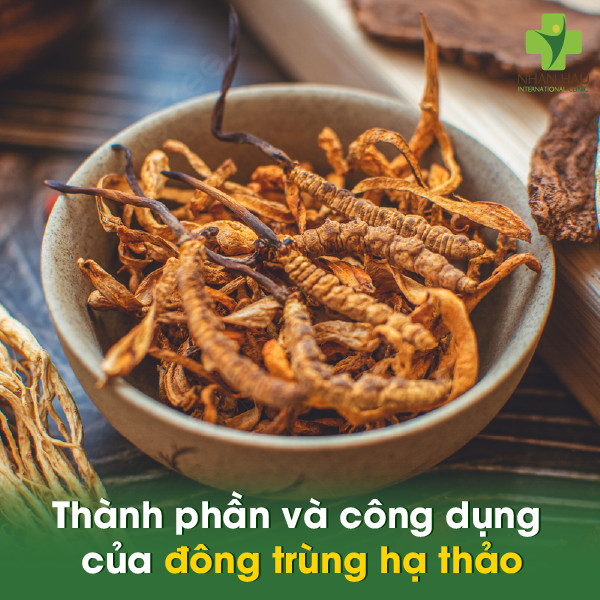 Thành phần và công dụng của đông trùng hạ thảo