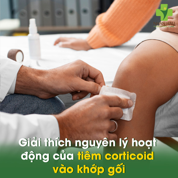 Giải thích nguyên lý hoạt động của tiêm corticoid vào khớp gối