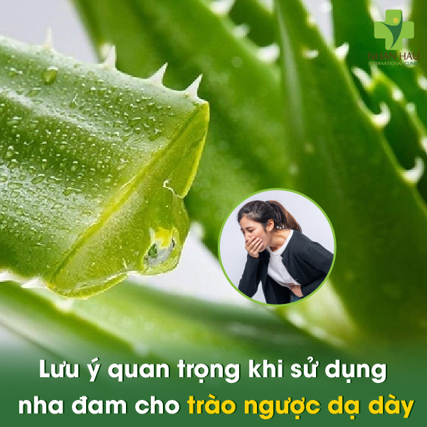Lưu ý quan trọng khi sử dụng nha đam cho trào ngược dạ